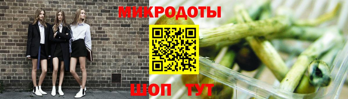 Псилоцибиновые грибы Psilocybe  Вход с VPN  Галлюциногенные грибы ЛСД  Сатка 